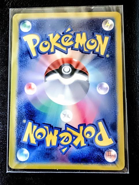 �V�i���g�p�I�|�P�J �s�J�`���E�A�[�g�A�J�f�~�[�ɔ��i�I �� �g���[�f�B���O�J�[�h�� 