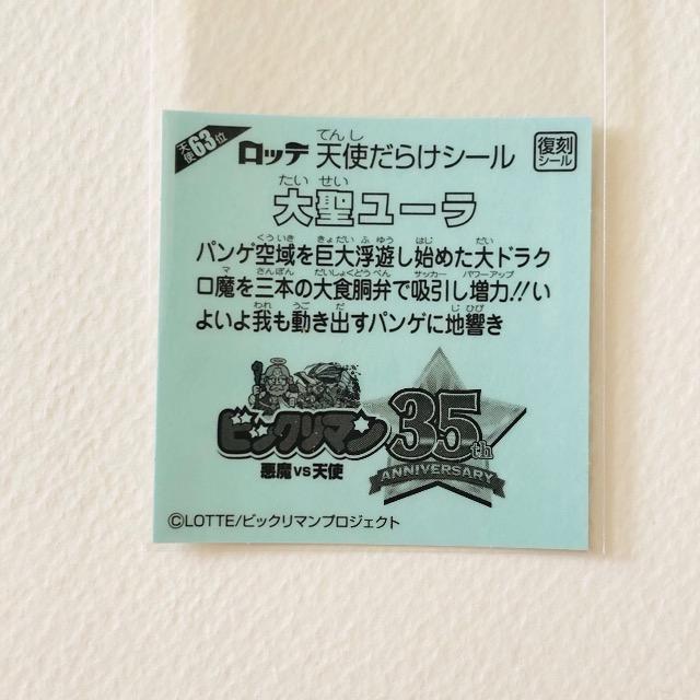 rbN}@Vg炯@Vg63ʁ@吹[  zr[ 