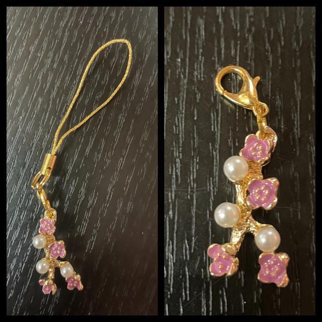 Ԃƃp[̃`[ Xgbv t p[vsN   ANZT[/v 