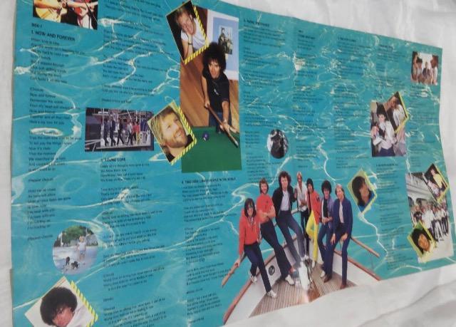 AIR Supply/Now and Forever☆レコードLP盤 < CD/DVD/ビデオ  AIR Supply/Now and Forever☆レコードLP盤 < CD/DVD/ビデオの