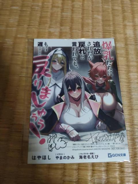 ɒǕꂽ߂ƌĂAxcc߂܂ィI@TC@[tbg@   {/G 