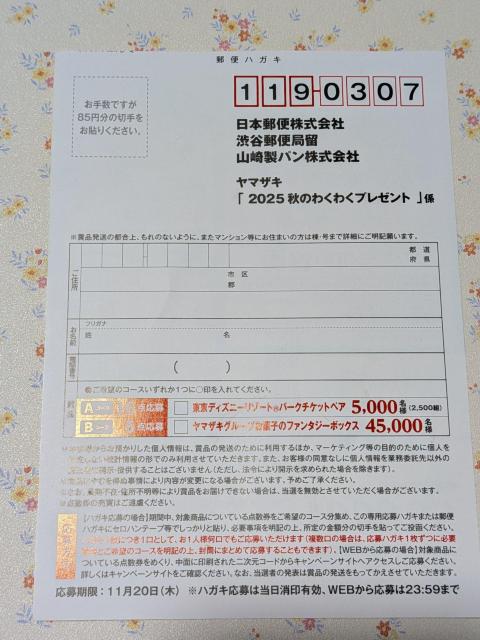 *}TLp*w2025Ĥ킭킭v[gxaR[XnKLt匔  `Pbg/ 