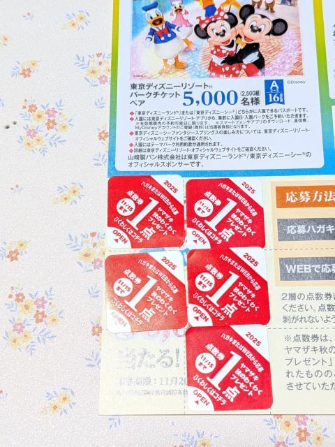 *}TLp*w2025Ĥ킭킭v[gxaR[XnKLt匔  `Pbg/ 