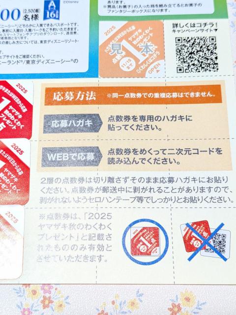 *}TLp*w2025Ĥ킭킭v[gxaR[XnKLt匔  `Pbg/ 
