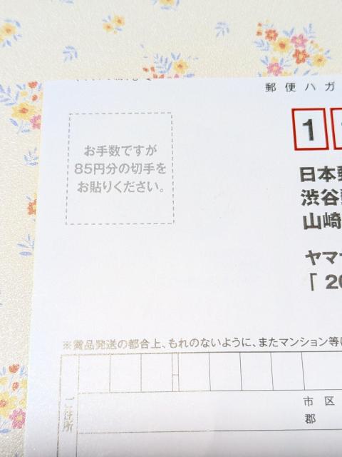*}TLp*w2025Ĥ킭킭v[gxaR[XnKLt匔  `Pbg/ 