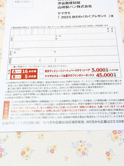 *}TLp*w2025Ĥ킭킭v[gxaR[XnKLt匔  `Pbg/ 