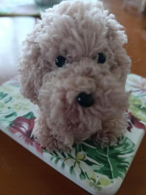 gCv[h@nhChJ  ybg/|/| 