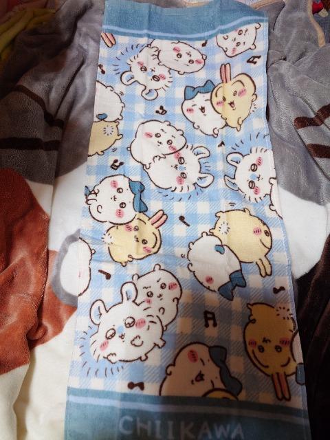 �V�i�A��������A�t�F�C�X�^�I��  �� �C���e���A/���C�t�� 