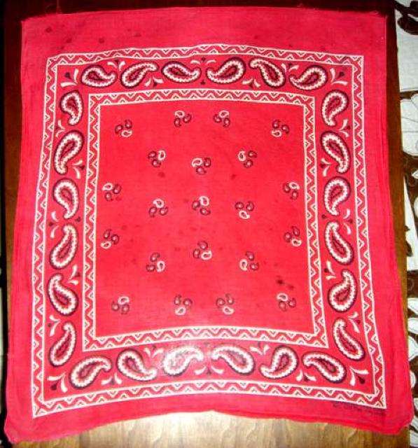 �r���e�[�W �o���_�i FAST COLOR USA�� ���A 60s  �� �j���t�@�b�V������ 