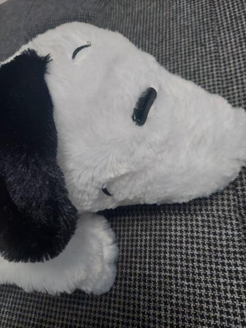 VilXk[s[ʂ   
