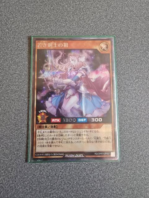 VYbVfG Ⴋm̑c SE   g[fBOJ[h 