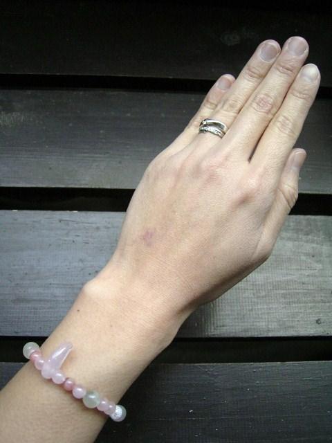 [YNH[cʂ[Xg[xCJ[Y  jANZT[/v 