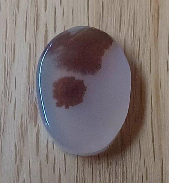 デンドライトアゲート デンドリティックアゲート 瑪瑙ルース < ペット/手芸/園芸  デンドライトアゲート デンドリティックアゲート 瑪瑙ルース < ペット/手芸/園芸の