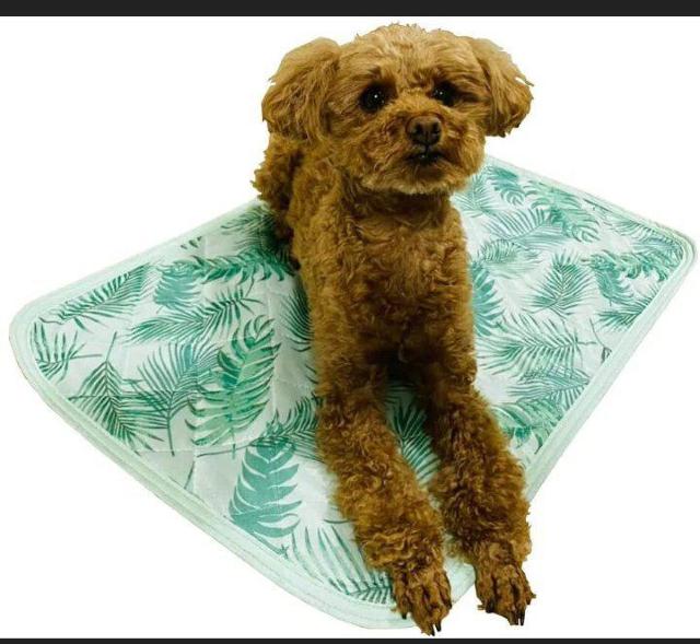 椰子の葉柄□ハワイアンペット用ひんやりマット□冷却パッド□犬猫クールマット < ペット/手芸/園芸  椰子の葉柄□ハワイアンペット用ひんやりマット□冷却パッド□犬猫クールマット < ペット/手芸/園芸の