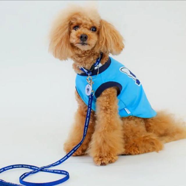 新品タグ付き 東京オリンピック 犬服 シャツ 3号ロング  ミライトワ < ペット/手芸/園芸  新品タグ付き 東京オリンピック 犬服 シャツ 3号ロング  ミライトワ < ペット/手芸/園芸の