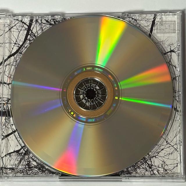 STING / Mercury Falling < CD/DVD/ビデオ  STING / Mercury Falling < CD/DVD/ビデオの