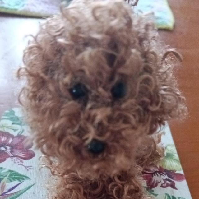 gCv[h@uE@nhCh  ybg/|/| 