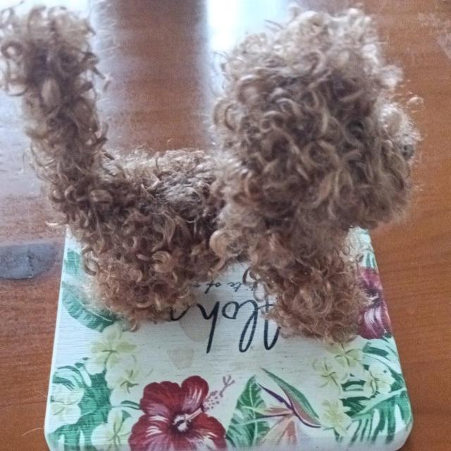 gCv[h@uE@nhCh  ybg/|/| 