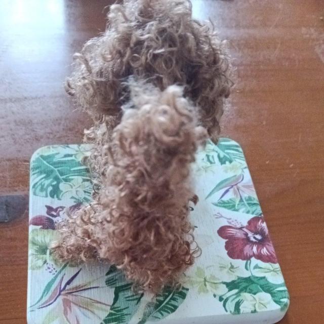 gCv[h@uE@nhCh  ybg/|/| 