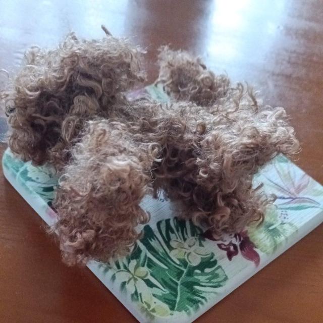 gCv[h@uE@nhCh  ybg/|/| 