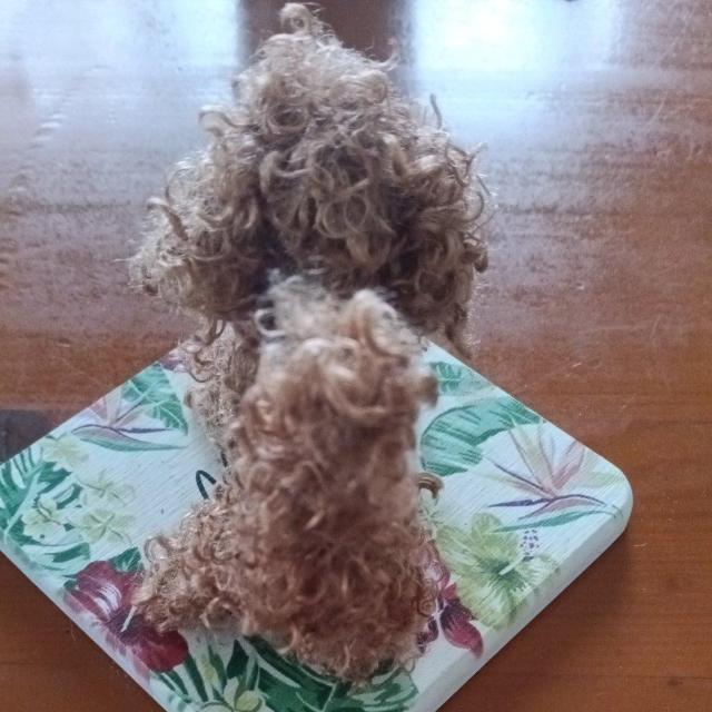 gCv[h@uE@nhCh  ybg/|/| 