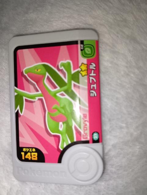 ポケモンフレンダ*ジュプトル*未使用 < トレーディングカード ポケモンフレンダ*ジュプトル*未使用 < トレーディングカードの