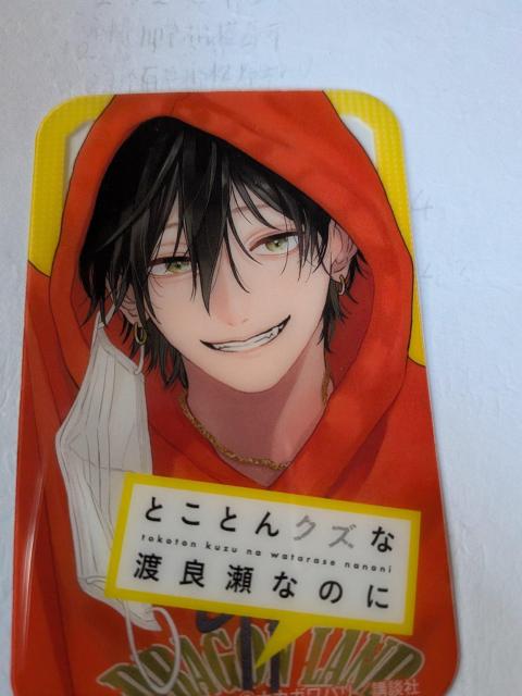 �񔄕i�}�K�W���N���A�J�[�h �� �z�r�[�� 