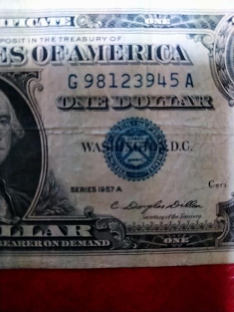 �A�����J�P�h���������[����� �� �z�r�[�� 