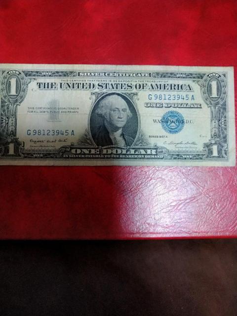 �A�����J�P�h���������[����� �� �z�r�[�� 