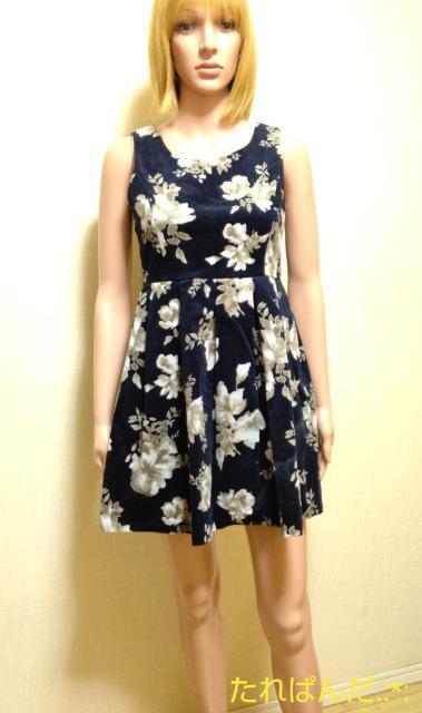 Vi^OtRay ~ earth music ecologyVbNȉԕY탏sW1243_ő  uh 