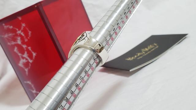 K 15NXmas  ubfB}[ ~ebhGfBV SVbNA[gO  SV~18K 13 w tL  uh 