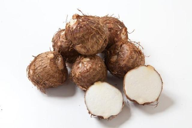 里芋の種子100粒+安心安全匿名配送です\(^o^)/ < ペット/手芸/園芸 里芋の種子100粒+安心安全匿名配送です\(^o^)/ < ペット/手芸/園芸の