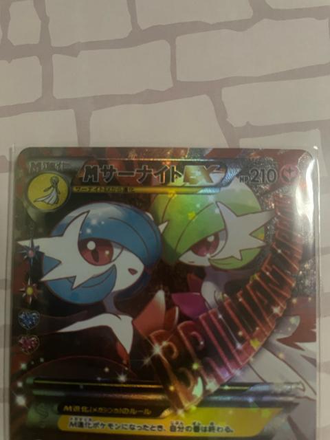 �|�P����� M�T�[�i�C�gEX �� �g���[�f�B���O�J�[�h�� 