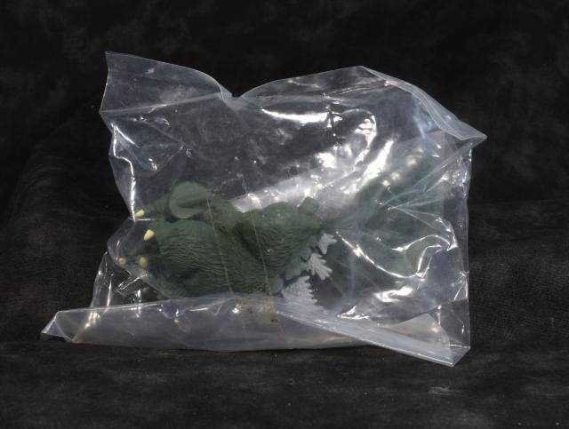 J HGSW6 SW62iLORO΃SWj   zr[ 