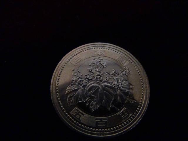 ߘa3N500~d 50205!!!  zr[ 