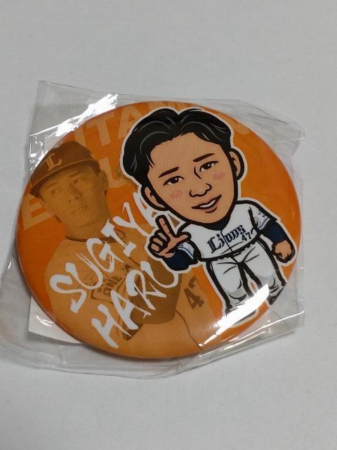 ʐCIY2024 47 Rꡊ󓊎 K`̔ ʃob` 