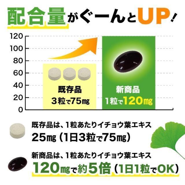 イチョウ葉エキス サプリメント 約1ヵ月分 DHA EPA配合 健康食品 < グルメ/ドリンク  イチョウ葉エキス サプリメント 約1ヵ月分 DHA EPA配合 健康食品 < グルメ/ドリンクの