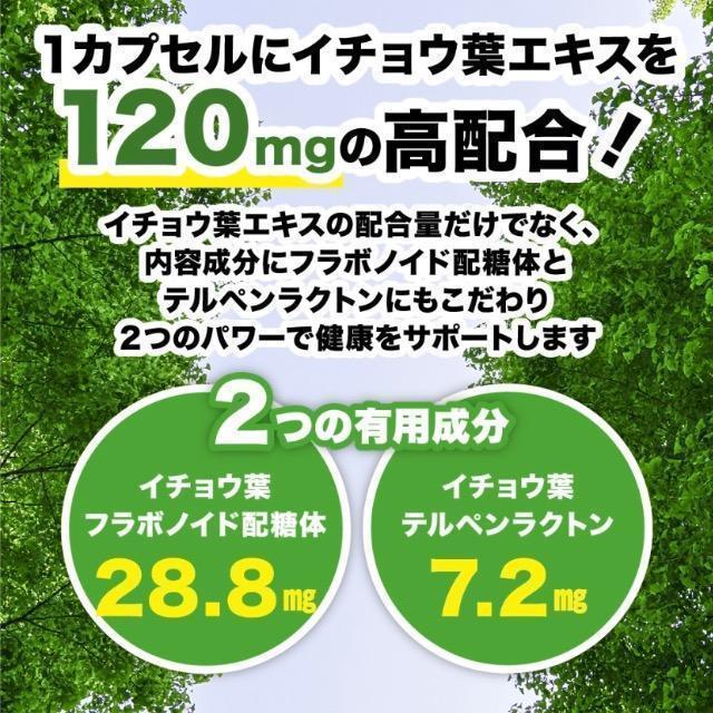 イチョウ葉エキス サプリメント 約1ヵ月分 DHA EPA配合 健康食品 < グルメ/ドリンク  イチョウ葉エキス サプリメント 約1ヵ月分 DHA EPA配合 健康食品 < グルメ/ドリンクの