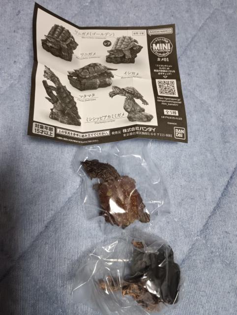 亀フィギュア未使用品 < ホビー 亀フィギュア未使用品 < ホビーの