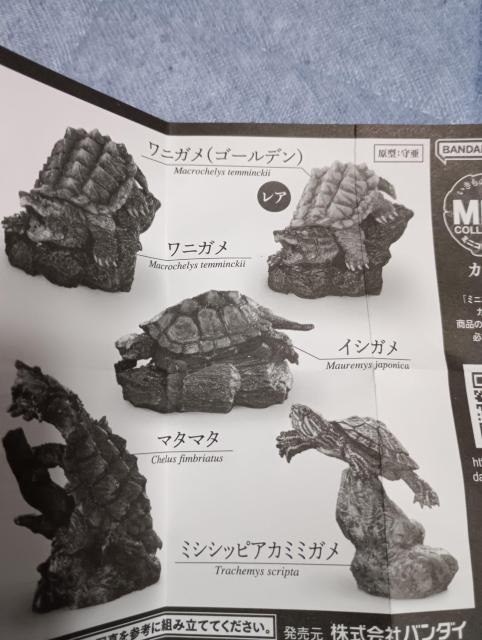 亀フィギュア未使用品 < ホビー 亀フィギュア未使用品 < ホビーの