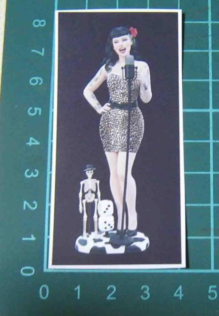 �h�[���E���I�p�[�h�������Ɗ[���̃X�e�b�J�[  �� �z�r�[�� 