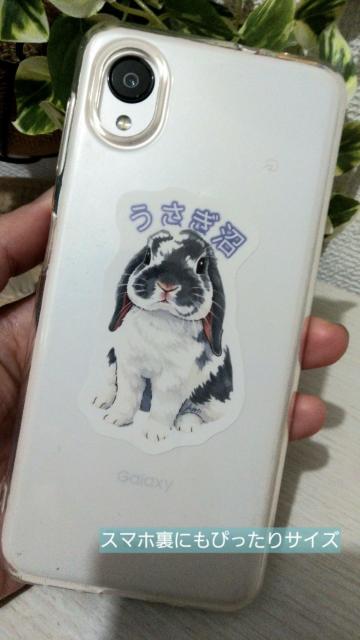 【耐水】うさぎ沼へようこそ。たれ耳うさぎのスマホステッカー(ロップイヤー/ホーランドロップ/PCデコ/シール) < インテリア/ライフ 【耐水】うさぎ沼へようこそ。たれ耳うさぎのスマホステッカー(ロップイヤー/ホーランドロップ/PCデコ/シール) < インテリア/ライフの