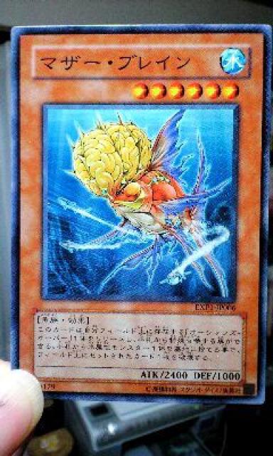 遊戯王【水・マザー・ブレイン】 < トレーディングカード  遊戯王【水・マザー・ブレイン】  < トレーディングカードの