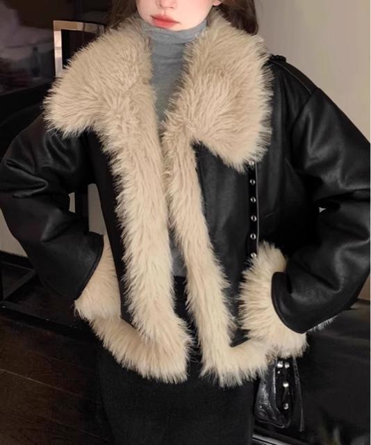  Vi V[gtFCN[gWPbg؍  t@bV 