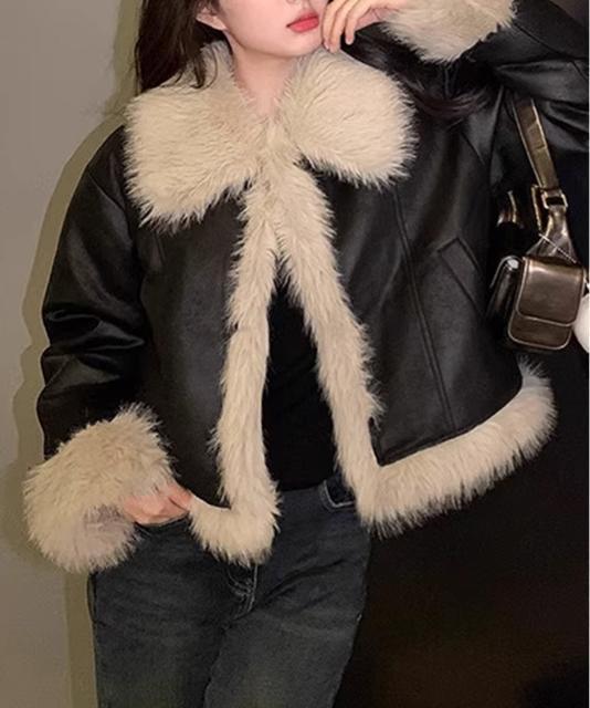  Vi V[gtFCN[gWPbg؍  t@bV 