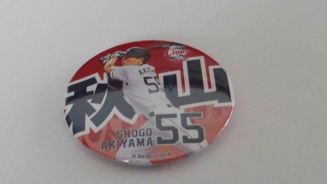 ʐCIY2018  vC[YʃobW 55HRČI   W[/X|[c 