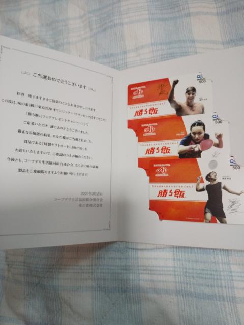 ̑f уIWiMtgJ[h 2020{\I  `Pbg/ 