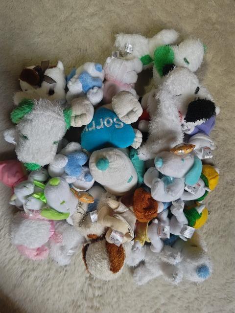 スヌーピー ぬいぐるみ 25体 高さ約100ミリ~180ミリ 未使用 同じ物有 < おもちゃ スヌーピー ぬいぐるみ 25体 高さ約100ミリ~180ミリ 未使用 同じ物有 < おもちゃの