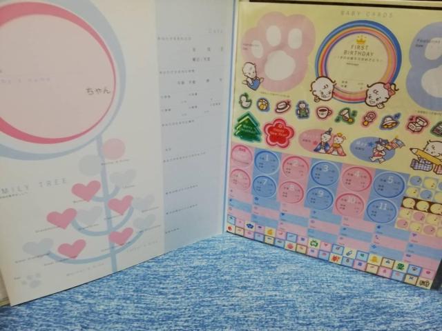 xr[ʐ^Ao Baby's First Year 2Zbg@\^Cv@714y[W  CeA/Ct 