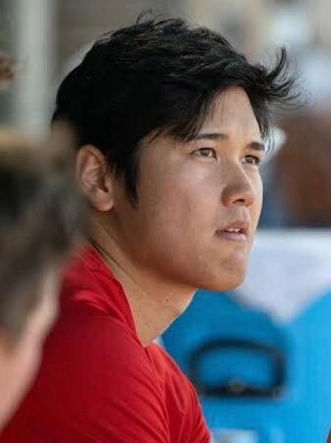 【送料無料】野球 大谷翔平厳選写真フォトL判10枚セット B < タレントグッズ  【送料無料】野球 大谷翔平厳選写真フォトL判10枚セット B < タレントグッズの